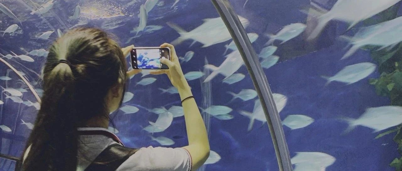 为了忘却而记念吗